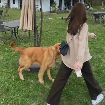 和女儿的日常第一季
